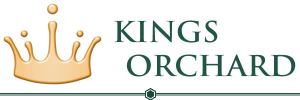 Kings Orchard Honey